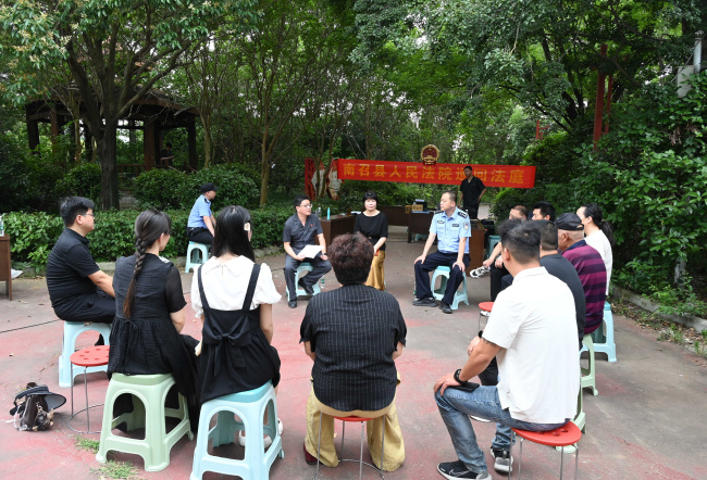 南召法院：辛夷树下的巡回审判